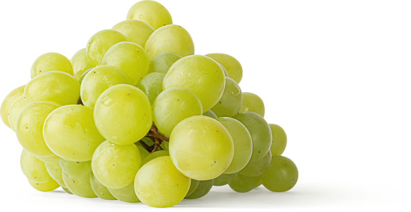 Grapes